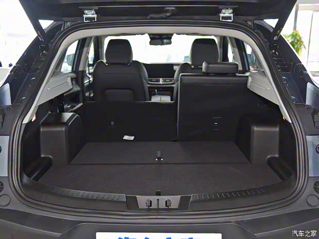 奇瑞新能源 奇瑞螞蟻 2020款 試裝車