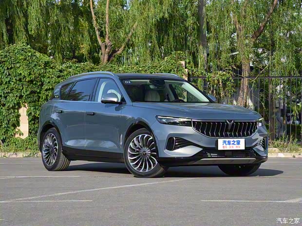 嵐圖汽車 嵐圖FREE 2021款 四驅(qū)增程版專屬豪華套裝