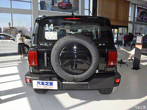 长城汽车 坦克300 2021款 越野版 2.0T 征服者 长城汽车 坦克300 2021款 越野版 2.0T 征服者