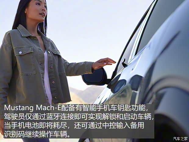 福特(进口) Mustang Mach-E 2020款 标准续航全驱版