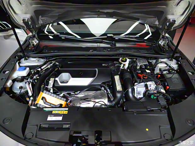 DS汽車 DS 9新能源 2020款 基本型