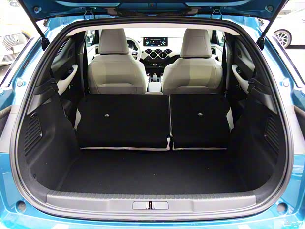 DS(进口) DS 3新能源 2021款 基本型