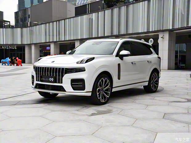 領(lǐng)克 領(lǐng)克09 2021款 基本型