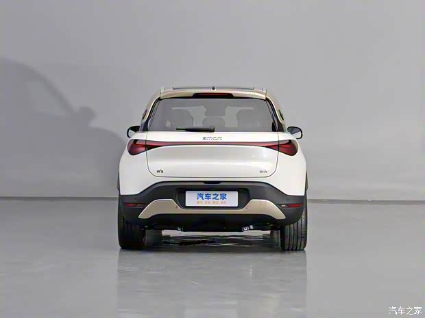 smart smart精靈#1 2024款 鉑金版