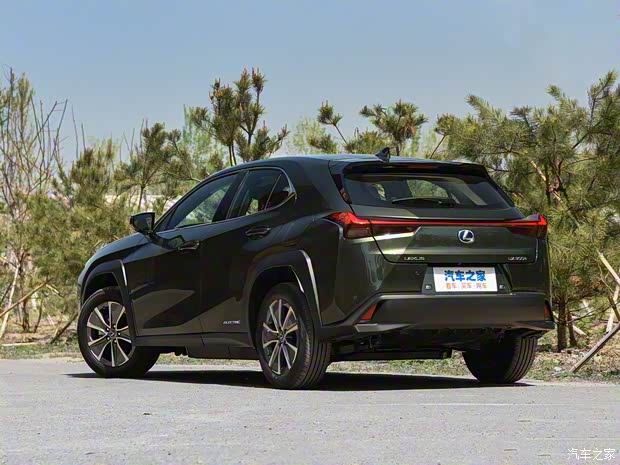 雷克萨斯 雷克萨斯UX新能源 2020款 300e