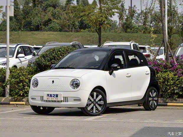長(zhǎng)城汽車(chē) 歐拉R1 2019款 351km 親子版 長(zhǎng)城汽車(chē) 歐拉R1 2019款 351km 親子版