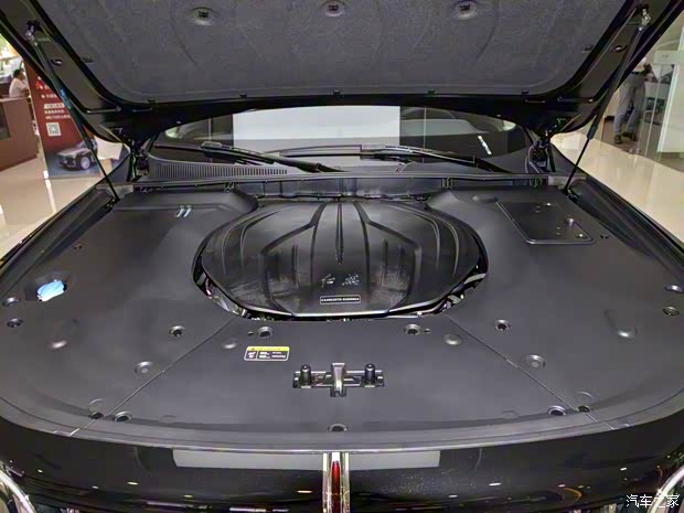 一汽紅旗 紅旗H9 2020款 2.0T 智聯(lián)旗享版