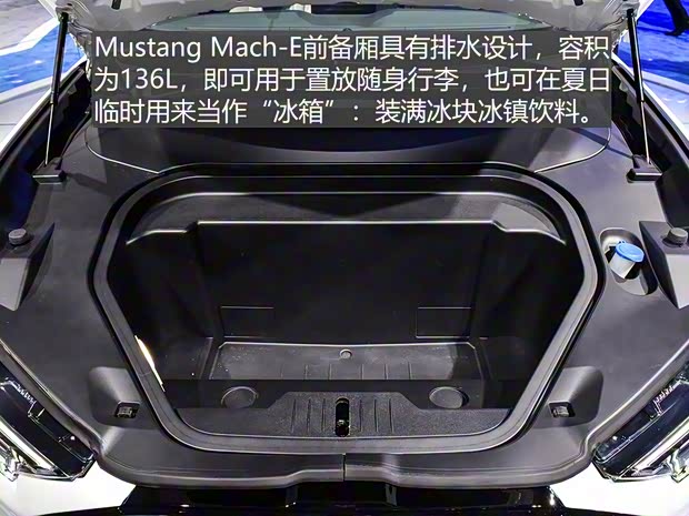 福特(进口) Mustang Mach-E 2020款 标准续航全驱版