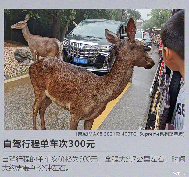 上汽集团 荣威iMAX8 2021款 400TGI Supreme系列至尊版