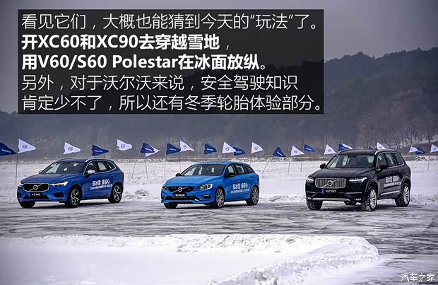 沃爾沃(進(jìn)口) 沃爾沃V60 2017款 2.0T Polestar
