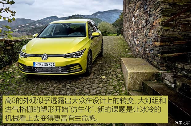 大眾(進口) 高爾夫(進口) 2020款 基本型