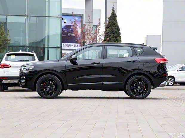 長(zhǎng)城汽車(chē) 哈弗H6 2020款 2.0GDIT 自動(dòng)GT冠軍版