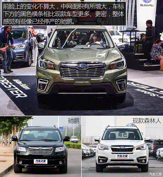 斯巴魯 森林人 2019款 基本型