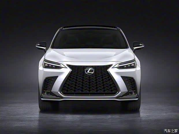 雷克薩斯 雷克薩斯NX 2022款 350 F SPORT AWD