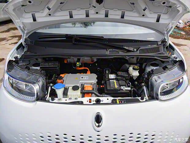 长城汽车 欧拉白猫 2020款 401km 旗舰型