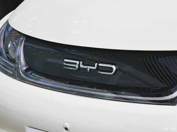 比亞迪 海豚 2021款 405km 時尚版