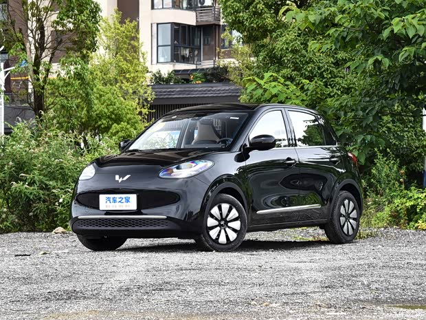 上汽通用五菱 五菱缤果 2023款 203km 舒享款 上汽通用五菱 五菱缤果 2023款 203km 舒享款