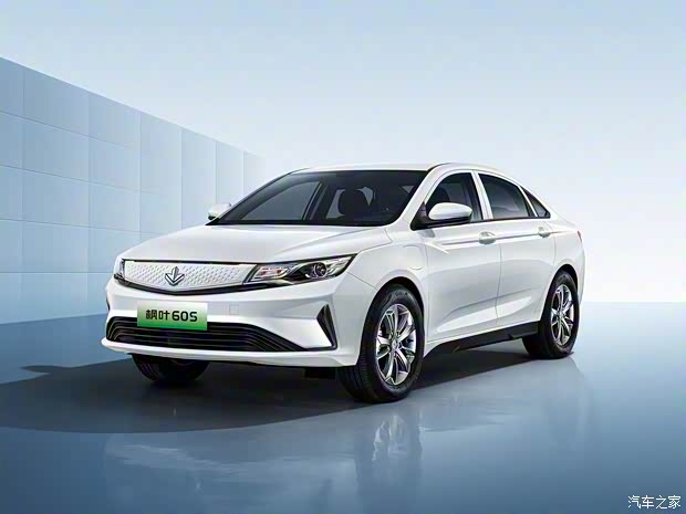 睿藍(lán)汽車 楓葉60S 2022款 易行版 三元鋰