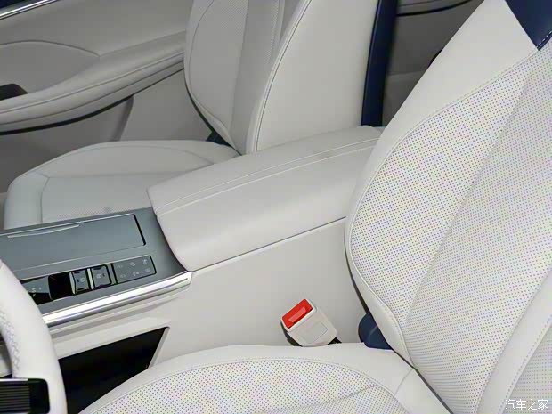 上汽集团 鲸 2022款 2.0T 虎鲸版