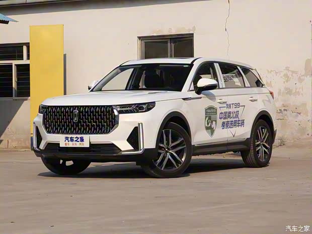 一汽奔騰 奔騰T99 2019款 中配版