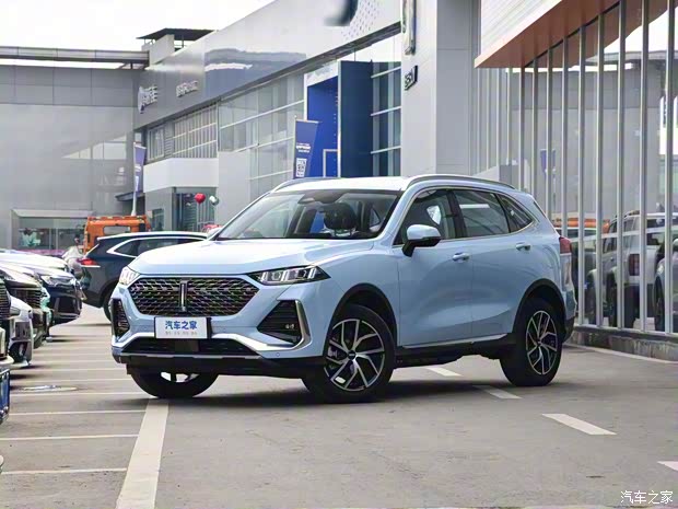 長(zhǎng)城汽車(chē) 拿鐵DHT-PHEV 2022款 1.5T 兩驅(qū)超大杯