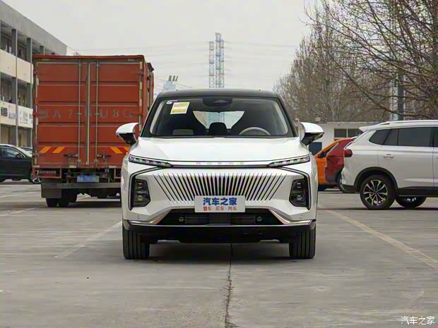 上汽集团 鲸 2022款 2.0T 虎鲸版