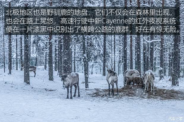 保时捷 Cayenne 2024款 基本型