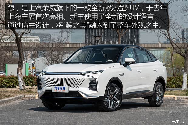 上汽集团 鲸 2022款 基本型
