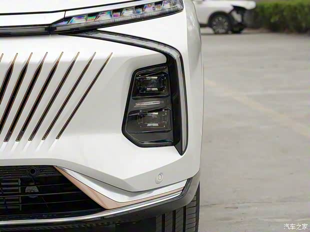 上汽集团 鲸 2022款 2.0T 虎鲸版