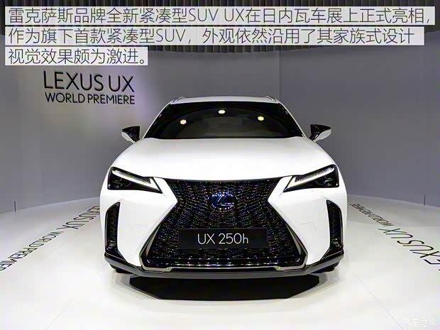 雷克萨斯 雷克萨斯UX 2019款 250h F SPORT