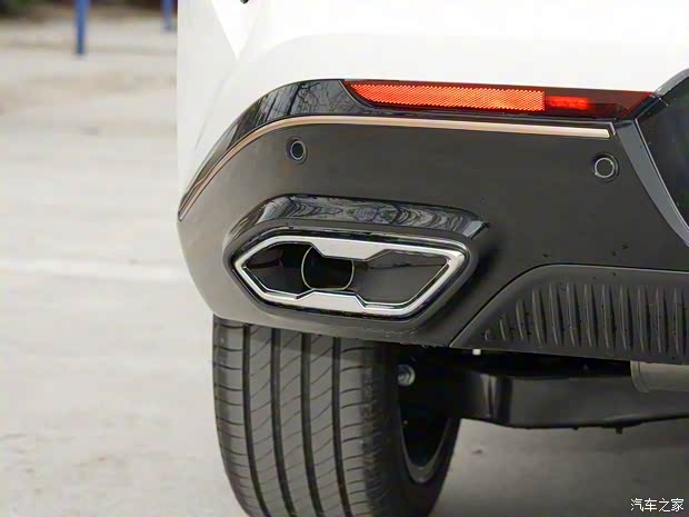 上汽集团 鲸 2022款 2.0T 虎鲸版