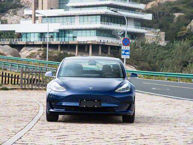 特斯拉中國 Model 3 2019款 標準續(xù)航后驅升級版