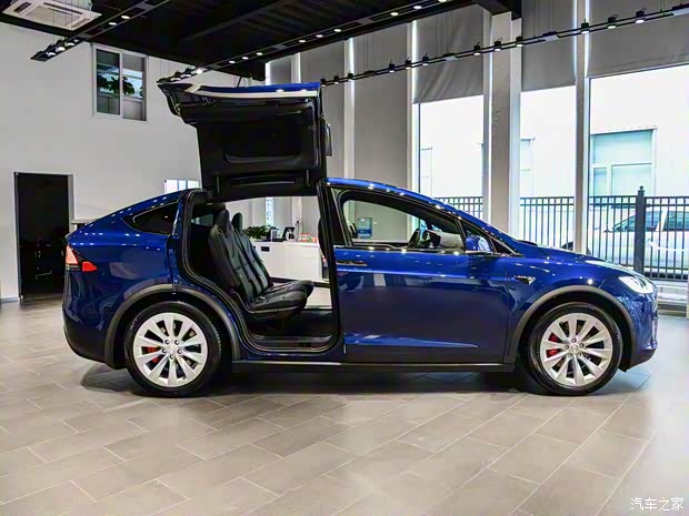 特斯拉（進口） Model X 2019款 Performance 高性能版