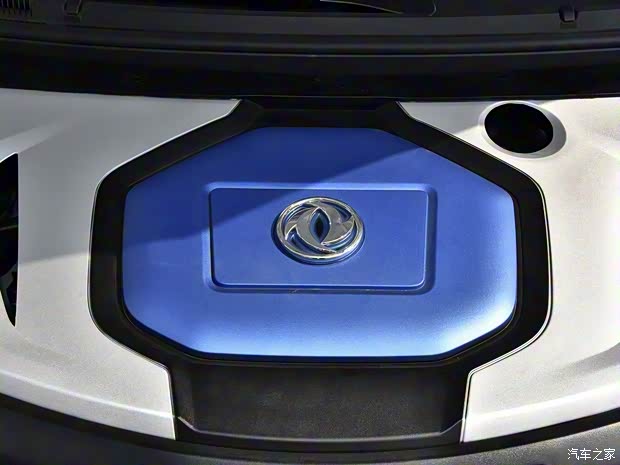 東風(fēng)風(fēng)行 風(fēng)行S50EV 2020款 豪華型