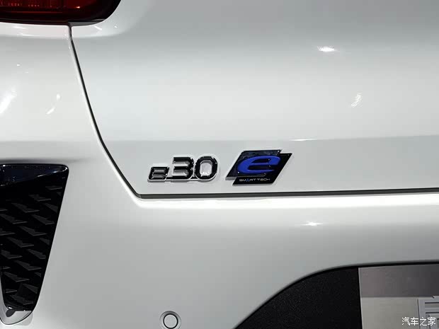 东风启辰 启辰e30 2019款 基本型