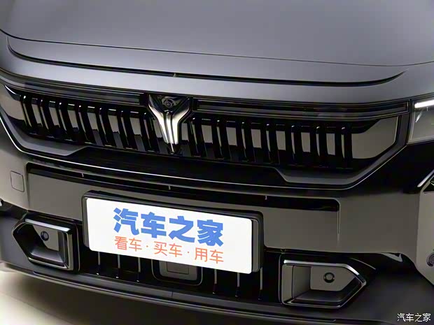 嵐圖汽車(chē) 嵐圖FREE 2022款 DNA Design 純電版