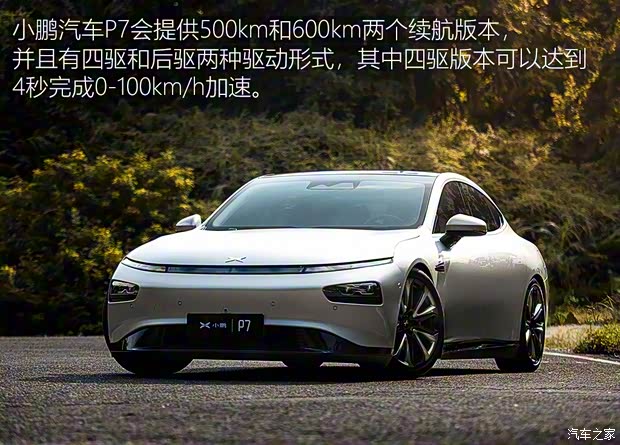 小鵬汽車 小鵬汽車P7 2019款 基本型