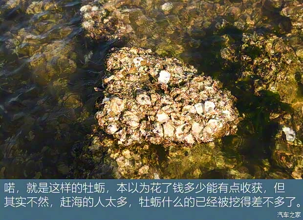 一汽红旗 红旗HS5 2019款 2.0T 智联旗享四驱版