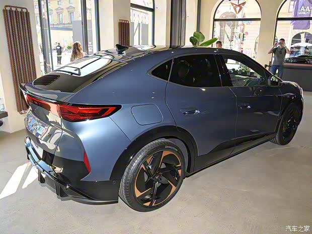 西雅特 Tavascan 2024款 歐洲版