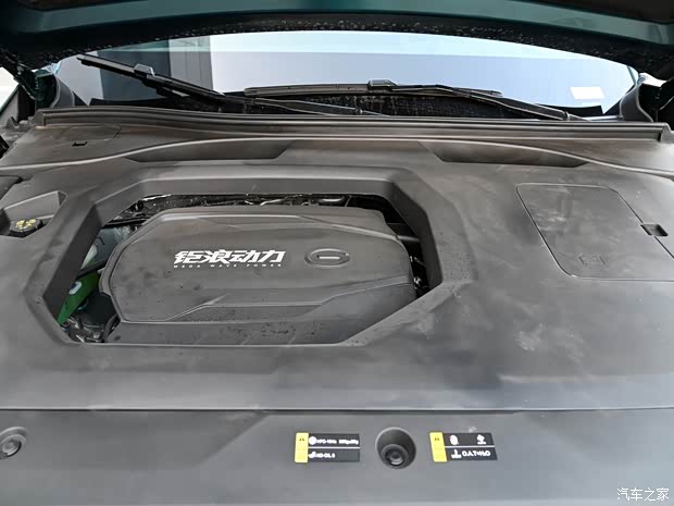 广汽乘用车 传祺GS8 2022款 2.0TGDI 两驱尊贵版（六座）