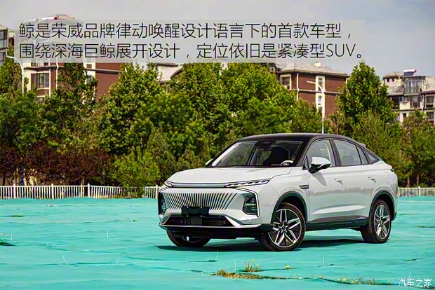 上汽集團(tuán) 鯨 2022款 2.0T 藍(lán)鯨版