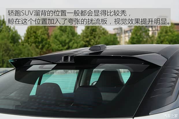 上汽集團(tuán) 鯨 2022款 2.0T 藍(lán)鯨版