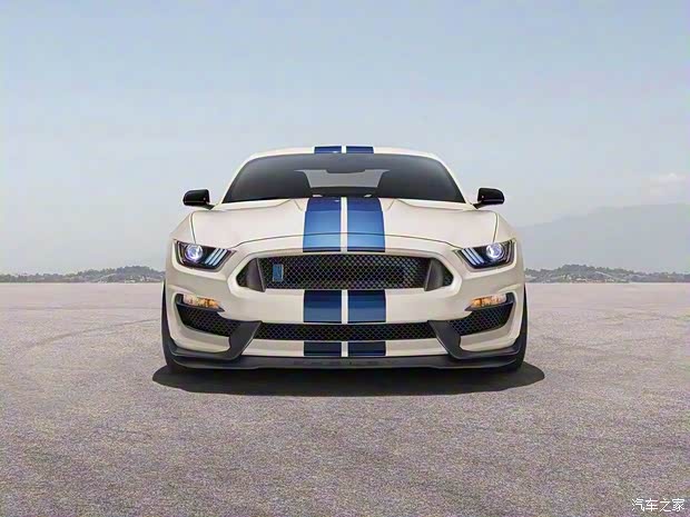 福特(進(jìn)口) Mustang 2020款 Shelby GT350 Heritage Edition
