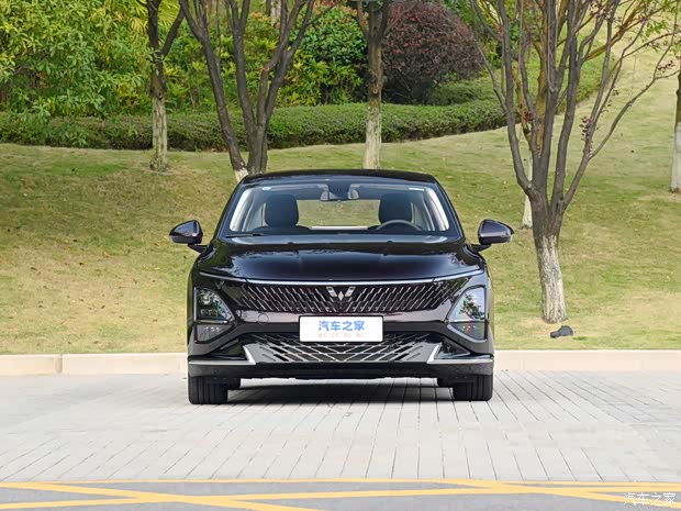 上汽通用五菱 五菱星光 2023款 150 进阶版 上汽通用五菱 五菱星光 2023款 150 进阶版