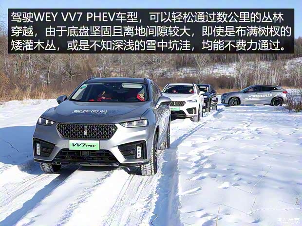 长城汽车 WEY VV7新能源 2020款 PHEV 2.0T 旗舰型 长城汽车 WEY VV7新能源 2020款 PHEV 2.0T 旗舰型