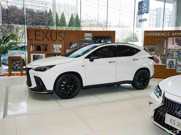 雷克萨斯 雷克萨斯NX 2022款 350h AWD