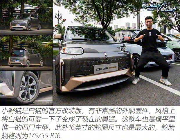 长城汽车 欧拉白猫 2022款 小野猫版 401km 旗舰型
