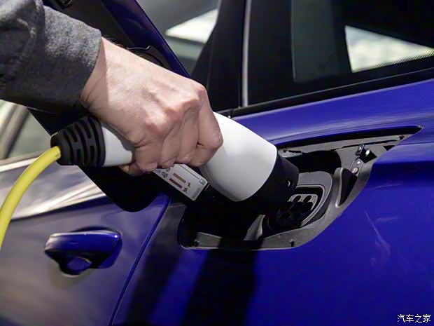 大眾(進口) 途銳新能源 2020款 R