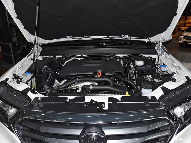 長城汽車 風(fēng)駿7 2019款 2.0T汽油四驅(qū)精英型國VI大雙GW4C20B