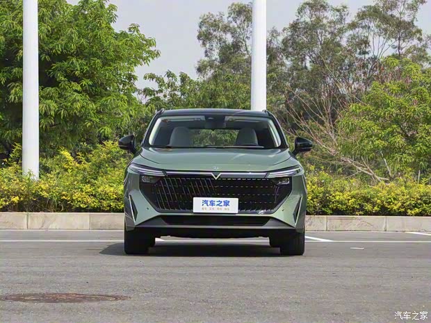 東風(fēng)日產(chǎn) 啟辰大V DD-i超混動(dòng) 2023款 DD-i 超混動(dòng) 基本型